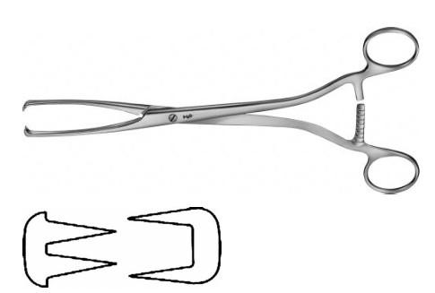 КОРНЦАНГ МЮЗУКС ЗАХОПЛЮЮЧИЙ, ПРЯМИЙ, 240 ММ